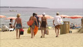 Wild Holidays (Full Movie)